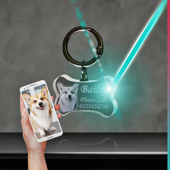 2D Crystal Dog Bone Keychain